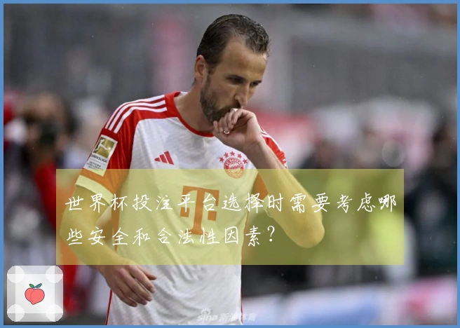 世界杯投注平台选择时需要考虑哪些安全和合法性因素？